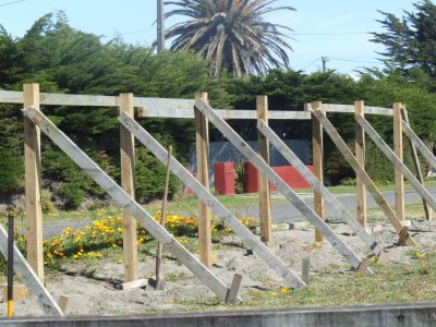 Himatangi-3