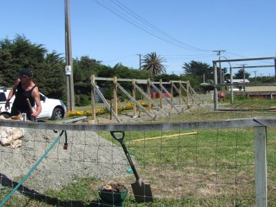 Himatangi-4